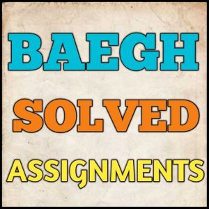 BAEGH Solved Assignment