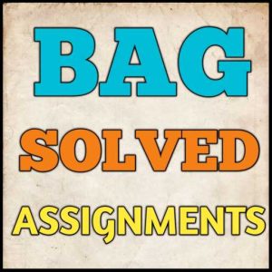 BAG Solved Assignment