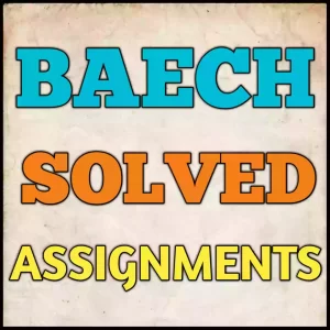 BAECH Solved Assignment